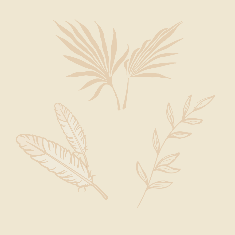 Graphic with plants and feathers