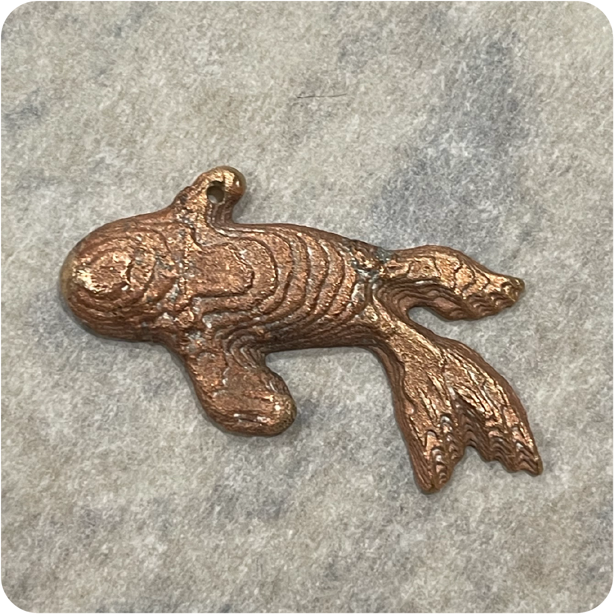 Cuttlebone Casted Fish