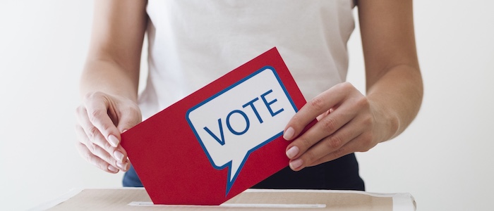 person submitting their voter ballot