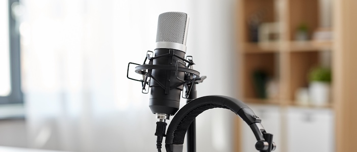 Microphone & Headphones
