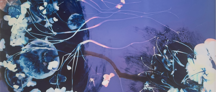 Carolyn Moore's Photo, Thunder